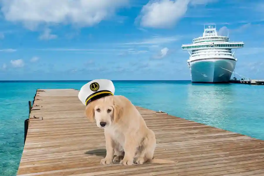 Do Any Cruise Ships Allow Pets?