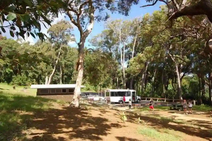 Explore Kaumahina State Wayside Park